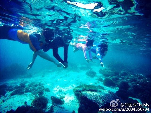 深度问答,尽在The+students+have+lessons+at+school改为否定句?蜗牛